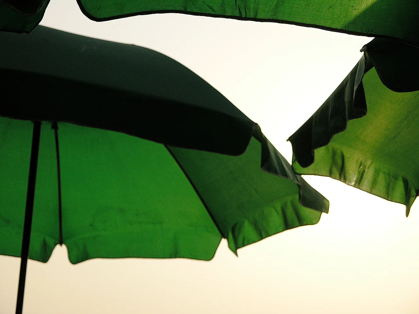 A Visit to the Art City of Hangzhou