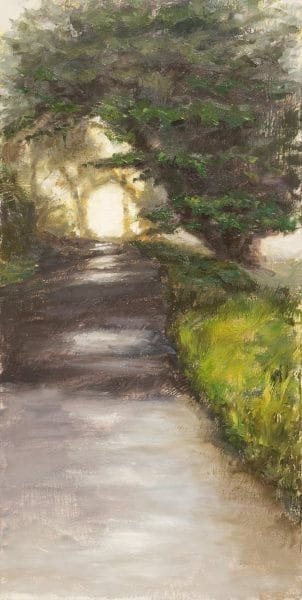 Point-Reyes-Light-Painting-Seamus-Berkeley