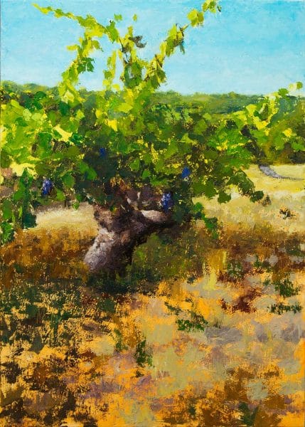 Sonoma-Vineyard-Work-in-Progress-Painting-Seamus-Berkeley