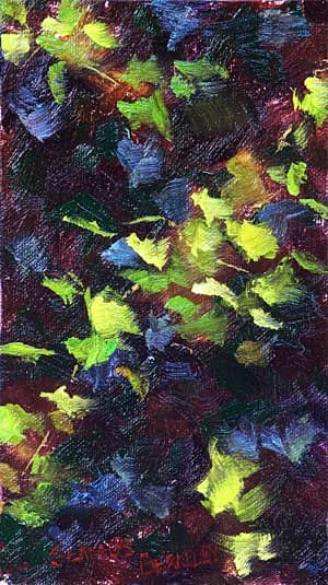 A Berkeley Daily: Autumn Vines, San Geronimo, California