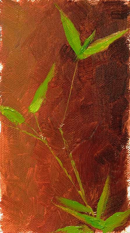 A Berkeley Daily: Bamboo Redwood