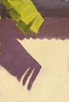 Banana Shadow Painting Seamus Berkeley