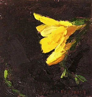 A Berkeley Daily: Freesia, Studio, Berkeley