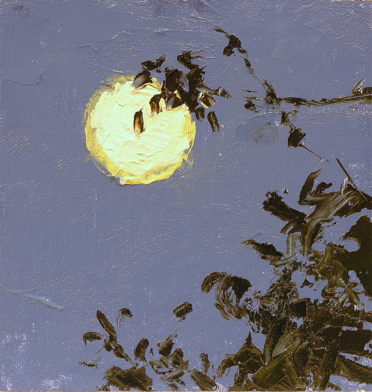 A Berkeley Daily: Full Moon, Berkeley, California