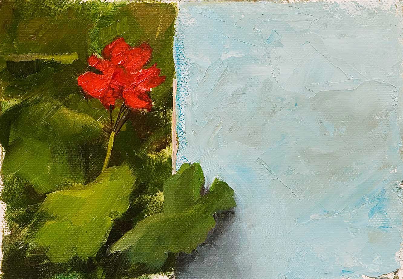 A Berkeley Daily: Red Geranium, Blue Wall, Guatemala