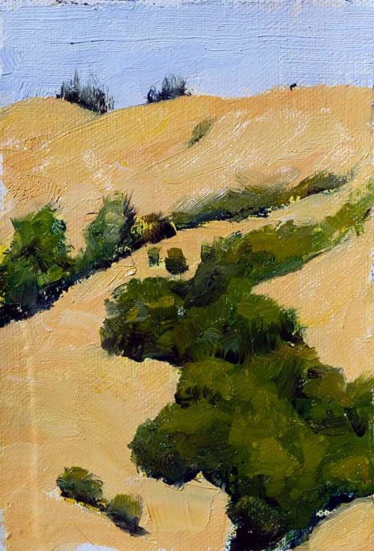 A Berkeley Daily: Hills, San Geronimo