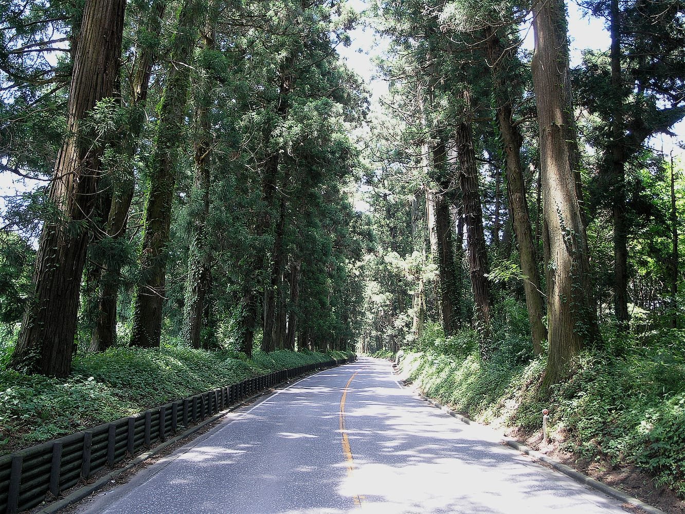 Orientation to Japan