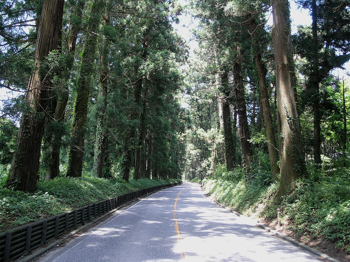 Orientation to Japan