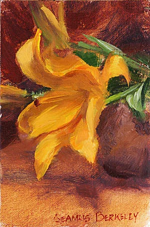 A Berkeley Daily: Lily, Studio, Berkeley