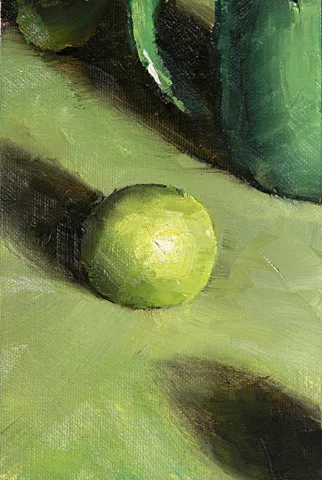A Berkeley Daily: Limes, Studio, Berkeley
