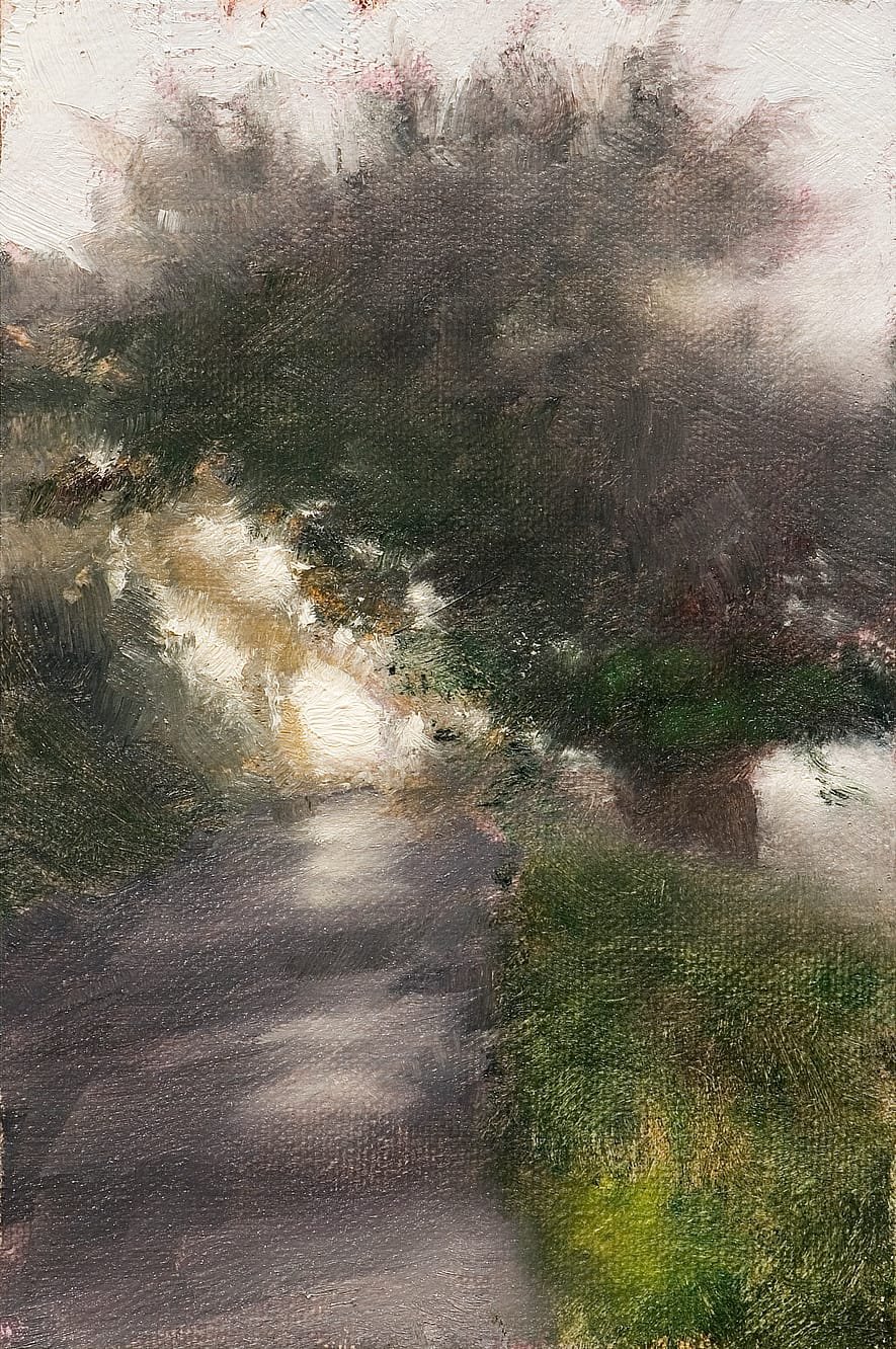 A Berkeley Daily: Light, Point Reyes, California