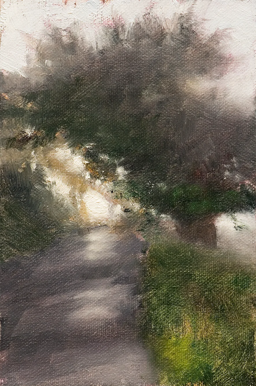 A Berkeley Daily: Light, Point Reyes, California