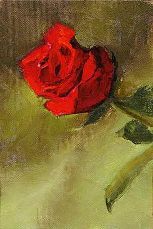 A Berkeley Daily: Rose, Studio, Berkeley