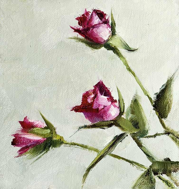 A Berkeley Daily: Roses, Studio, Berkeley