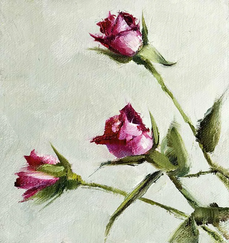 A Berkeley Daily: Roses, Studio, Berkeley