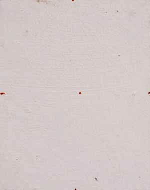 A Berkeley Daily: Blank