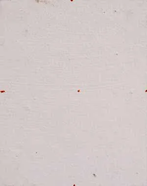 A Berkeley Daily: Blank