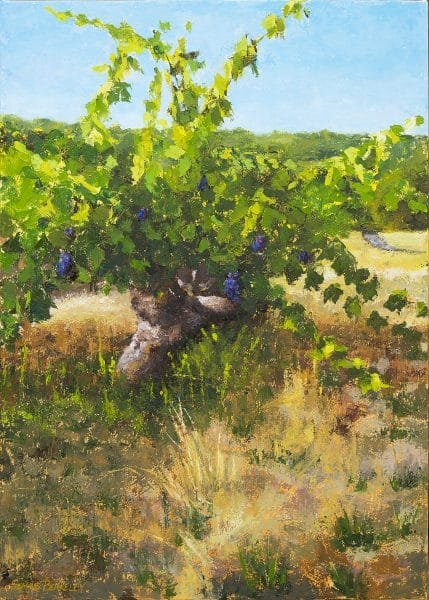Sonoma Vineyard Final Painting Seamus Berkeley