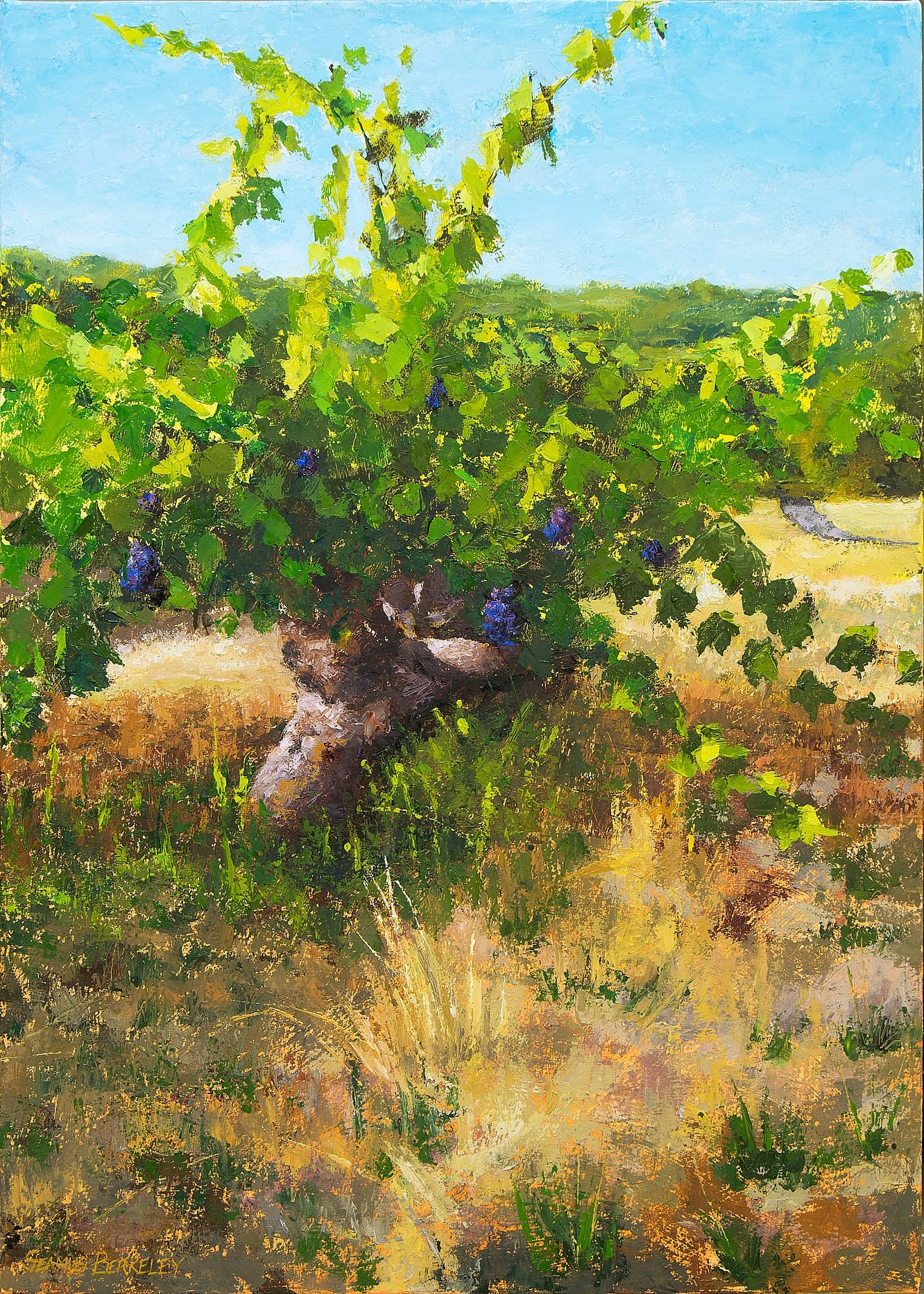 Mendocino Art Center