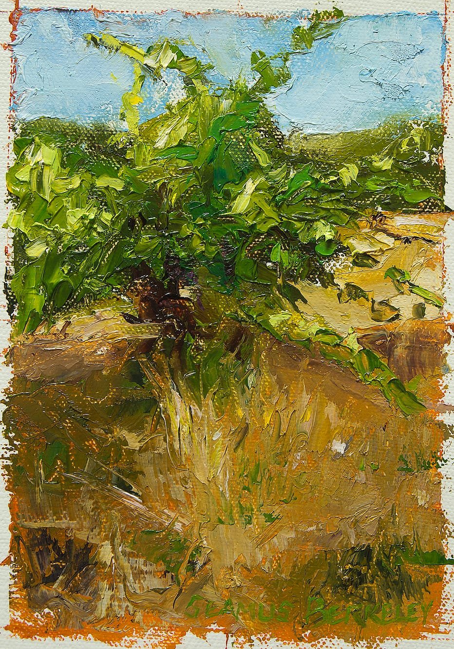 New Study for a Vineyard Landscape in Sonoma