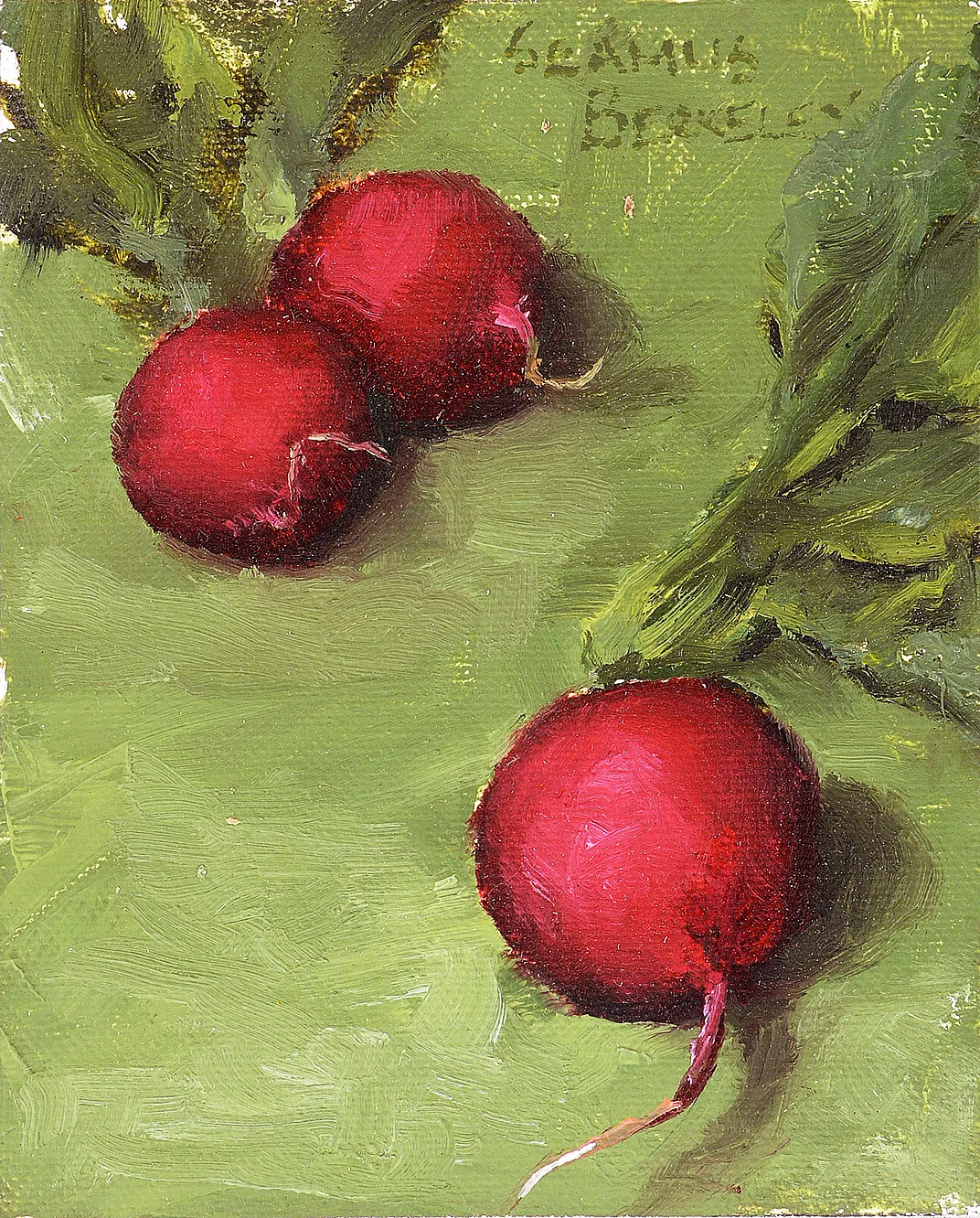 A Berkeley Daily: Three Radishes, Studio, Berkeley