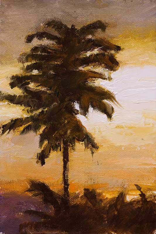 A Berkeley Daily: Tree, Sunset, Guatemala