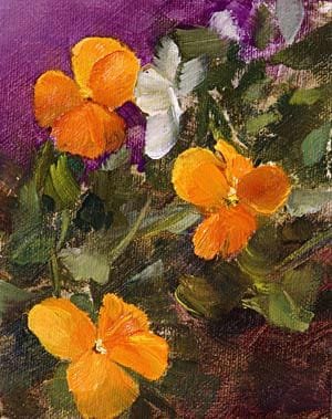 A Berkeley Daily: Violas, Studio, Berkeley