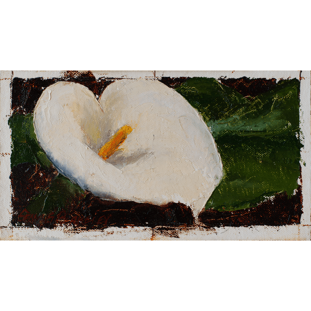 Oil painting of a white calla lily with yellow pistol tightly framed in warm dark brown background.