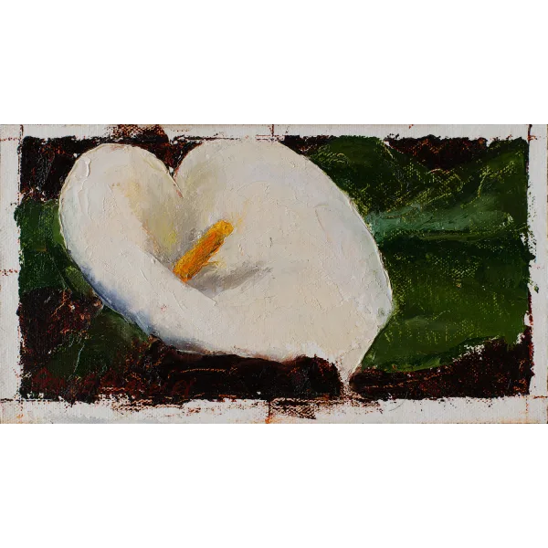 Oil painting of a white calla lily with yellow pistol tightly framed in warm dark brown background.