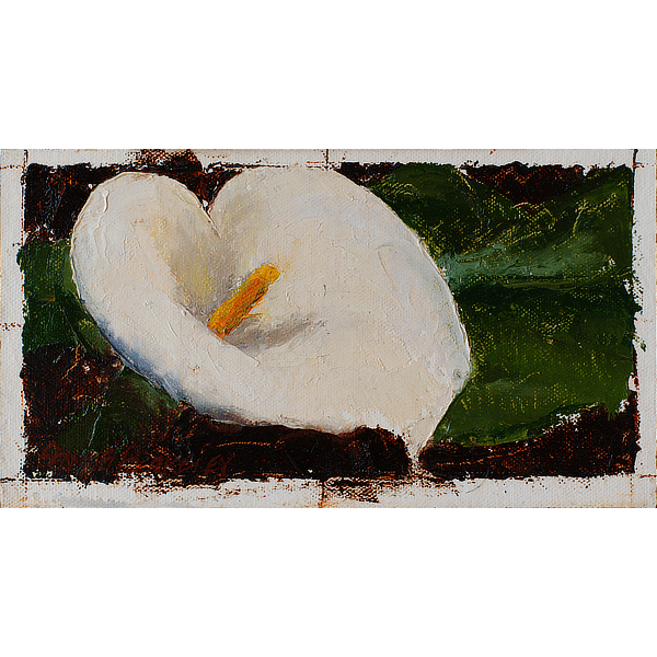 Fleeting Florals: Calla Lily