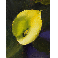 An oil painting of a yellow calla lily, placed against a warm green and dark violet background.