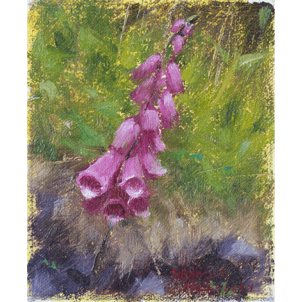 An oil painting of Foxglove, a violet colored flower, placed against a warm green background.