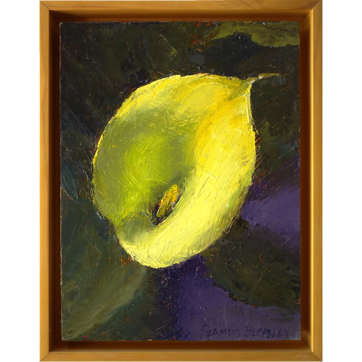 An oil painting of a yellow calla lily, placed against a warm green and dark violet background.