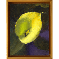 An oil painting of a yellow calla lily, placed against a warm green and dark violet background.