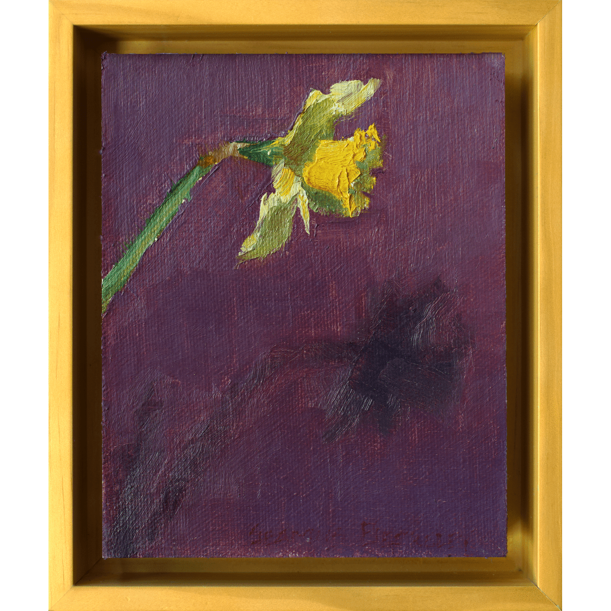 Oil painting of a bright yellow daffodil casting a shadow on a dark purple background.