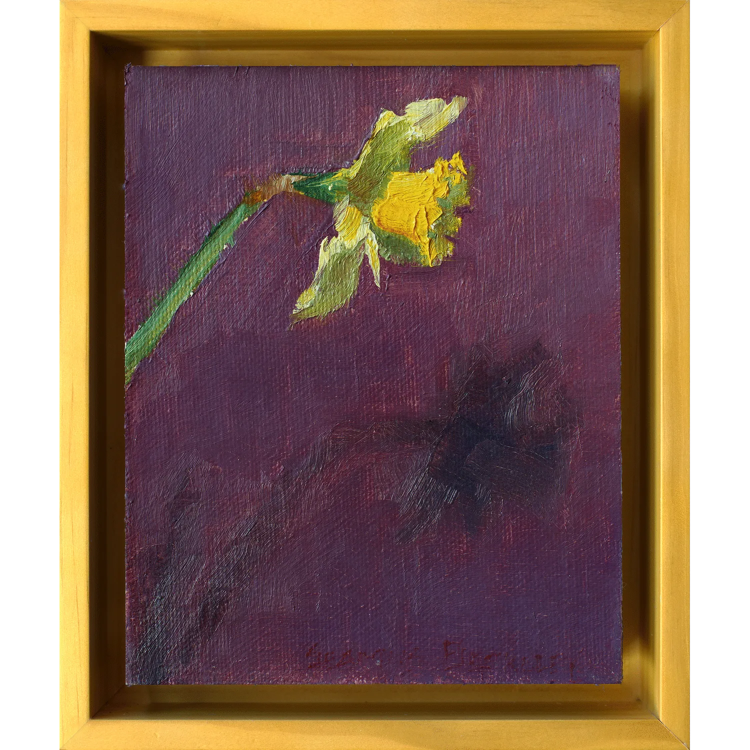 Fleeting Florals: Daffodil