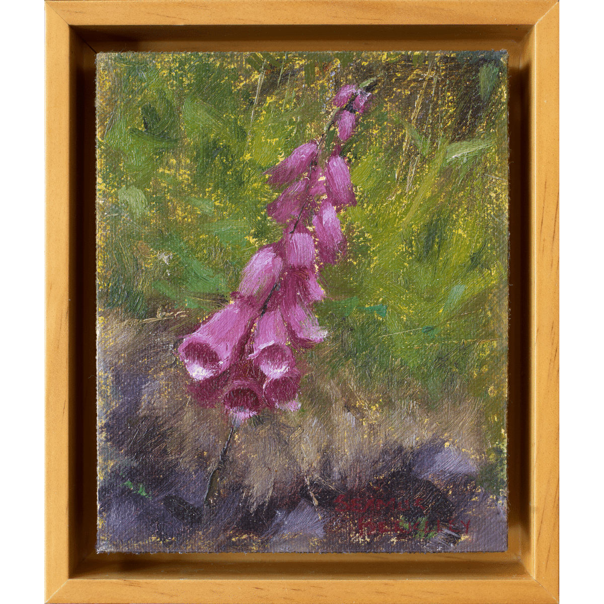 An oil painting of Foxglove, a violet colored flower, placed against a warm green background.