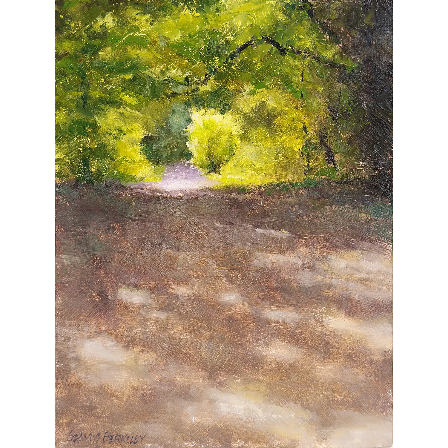 On the Path in Ballyannan Wood