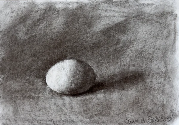 Image of a charcoal drawing of one white duck egg on a grey fabric background.