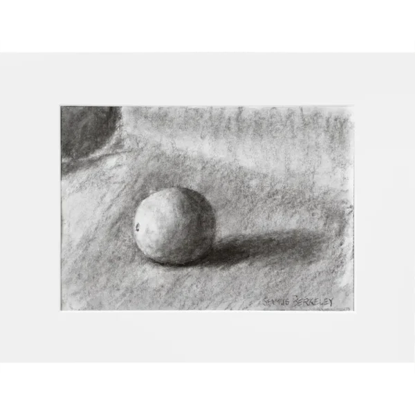 Image of a charcoal drawing of one orange on a grey fabric background.