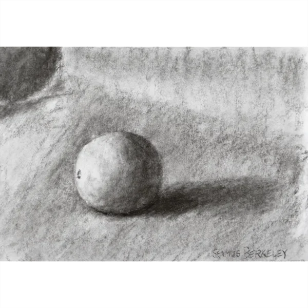 Image of a charcoal drawing of one orange on a grey fabric background.