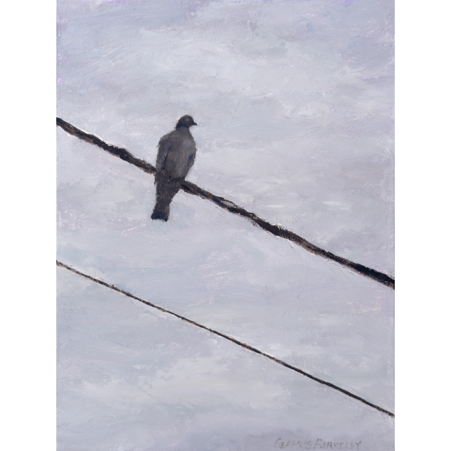 Tell Us What You See